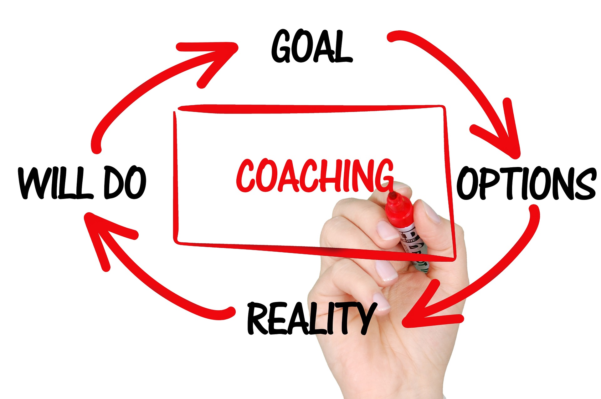 Private Professional Coaching